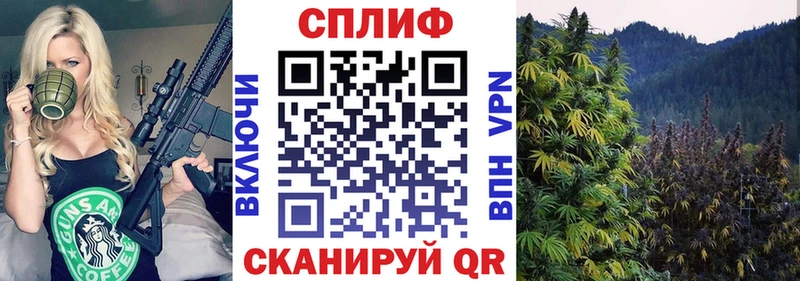 Каннабис гибрид  закладка  Лагань 